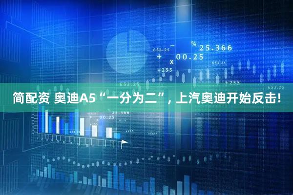 简配资 奥迪A5“一分为二”, 上汽奥迪开始反击!