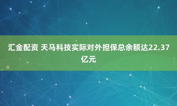 汇金配资 天马科技实际对外担保总余额达22.37亿元