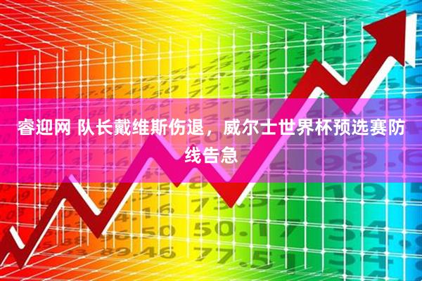 睿迎网 队长戴维斯伤退，威尔士世界杯预选赛防线告急