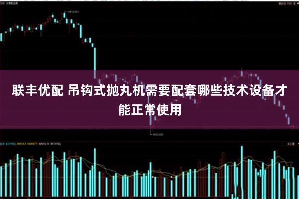 联丰优配 吊钩式抛丸机需要配套哪些技术设备才能正常使用